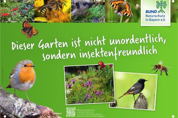 Bild: BN