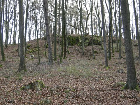 Dachsbaufelsen