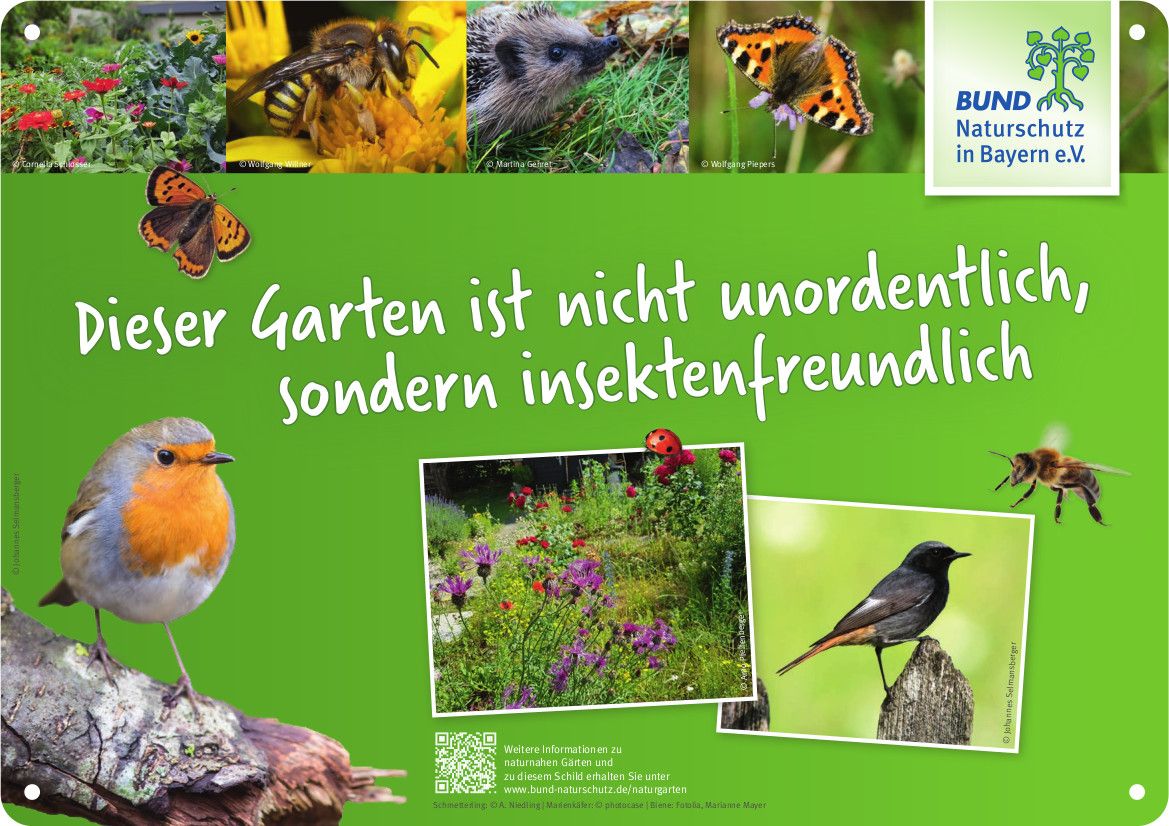 Bild: BN