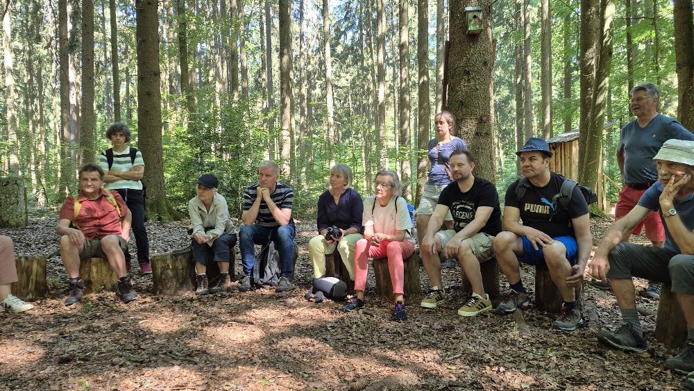 Waldspaziergang Bild: BN