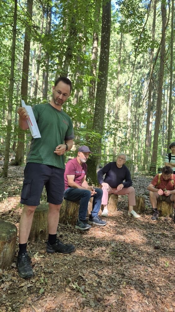 Waldspaziergang Bild: BN
